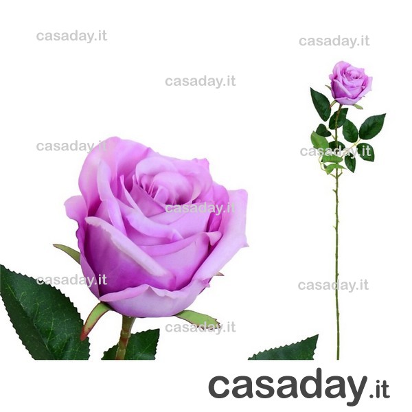 ROSA SINGOLA GRANDE CM.78 